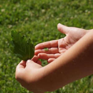 子供向けプログラミング教室の料金比較はどうすればいい？