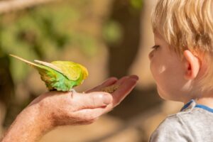 子供がプログラミングに興味がない場合、どうすれば良い？