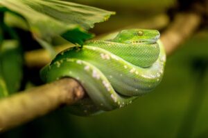 キュレオのプログラミング教室の評判は本当に良いのか？
