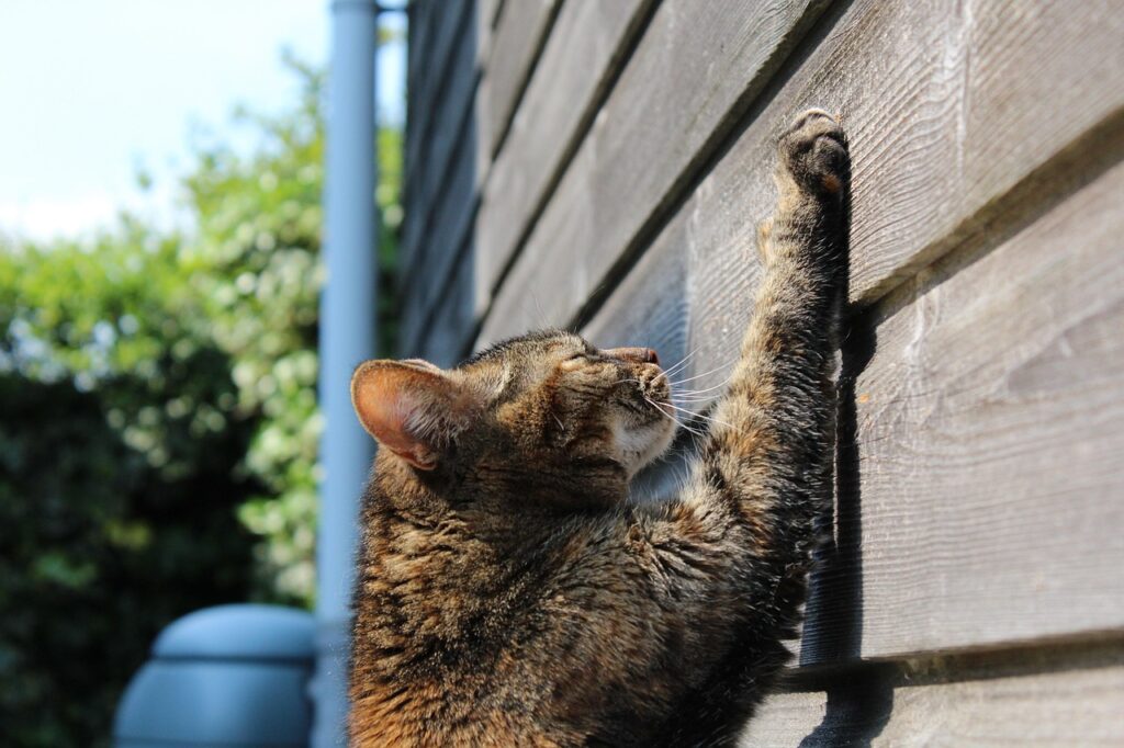 Scratchを使った低学年向けプログラミングの楽しみ方は？