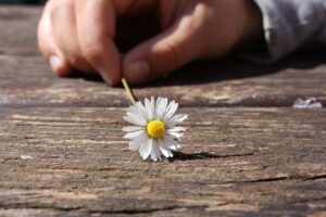 プログラミング教室の満足度を知るためのアンケート結果は？