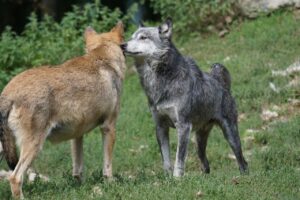 人気教室の順位を知るための最新情報は？