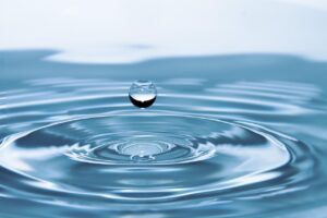 将来の職業にどのような影響があるのか？